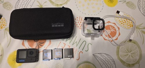 Gopro hero12 black - gopro,