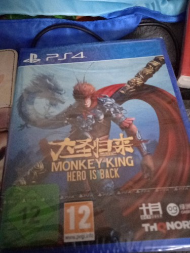 Monkey king hero - hero, back